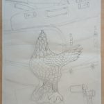 IMG_20250306_085512753