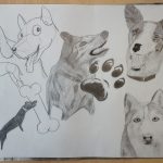 IMG_20250306_093502696