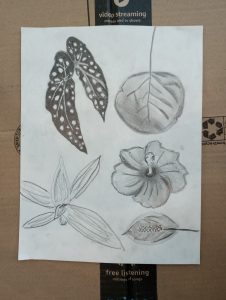 IMG_20250501_085318145