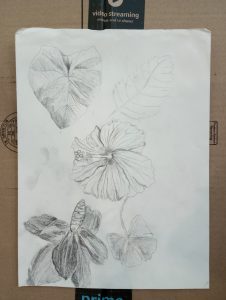 IMG_20250501_085726742