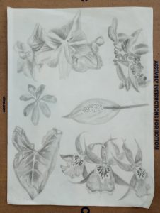IMG_20250501_090546421