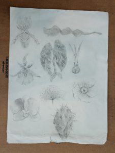 IMG_20250501_093006201