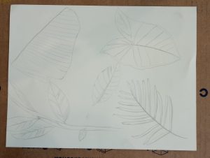 IMG_20250501_093559827